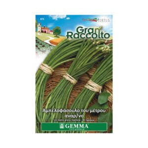 Gemma Φασόλι Αμπελοφάσουλο του Μέτρου Αναρριχώμενο - 17137