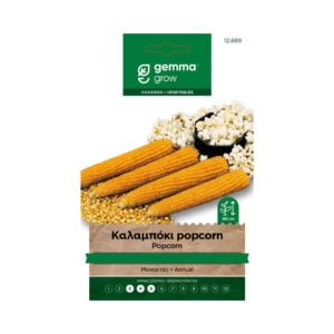 Gemma Καλαμπόκι Popcorn - 12689