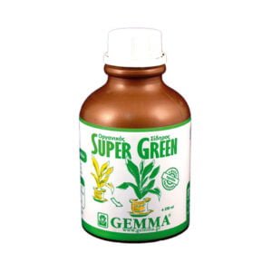 Gemma Super Green Χηλικός Σίδηρος Υγρός 250ml - 11976